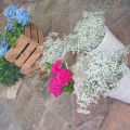 colores-de-boda-organizacion-bodas-wedding-planner-decoracion-original-elena-ruben-550